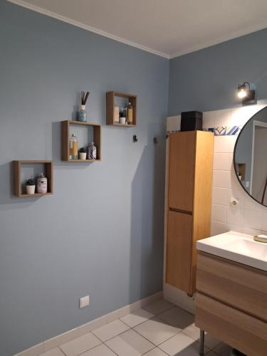 une salle de bain avec un lavabo et un miroir dans l'établissement Chez Kristina, à Entraigues-sur-la-Sorgue