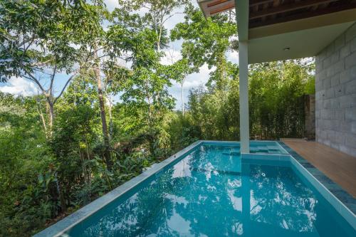 an infinity pool in the backyard of a house with trees at El Jardin Lodge & Spa in Puerto Misahuallí