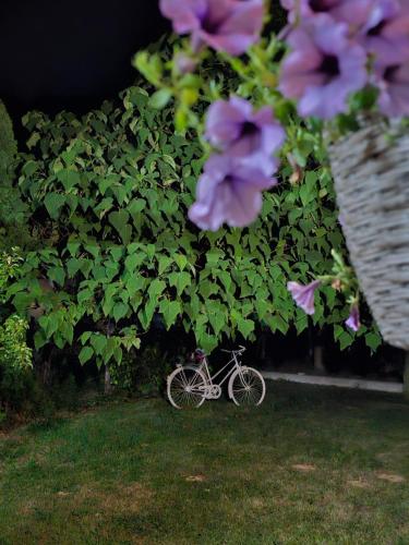 a bike parked in the grass next to purple flowers at Luxury house "Heart of Nature" Visoko in Visoko