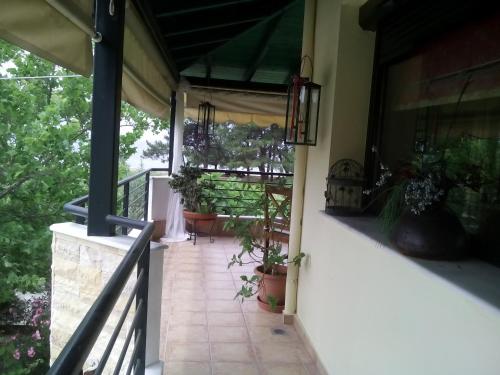 Gallery image of Vicente House in Skala Rachoniou
