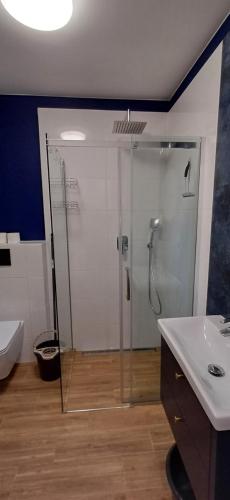 a bathroom with a shower and a sink at Apartamenty Nadmorskie lofty in Gąski