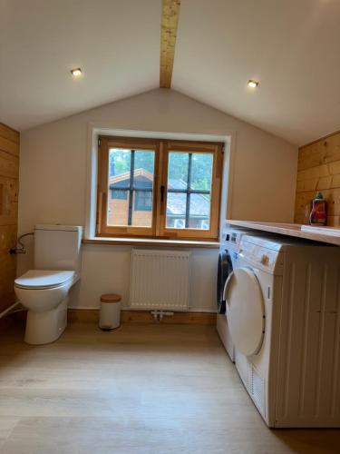 Un baño con inodoro y lavadora. en Huize Eléna, en Lochem