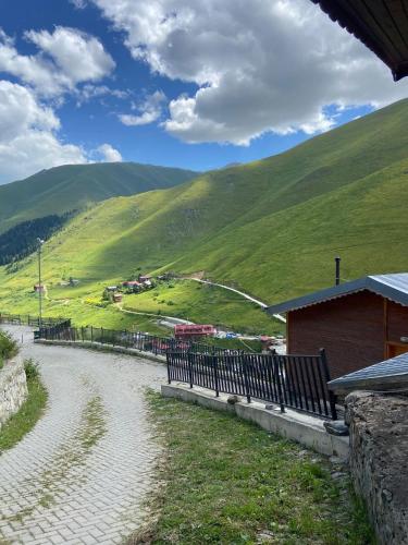 Demirkapı Brown House