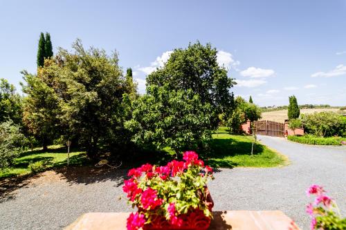 a basket of red flowers sitting on a bench at Bio Agriturismo Il Melograno di Banditella Ristorante in Alberese