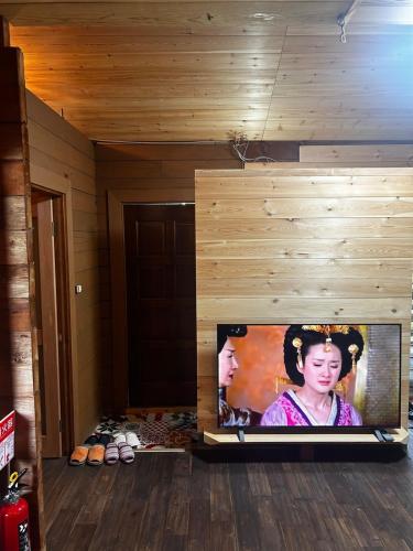 TV/Unterhaltungsangebot in der Unterkunft Smith's island Hut