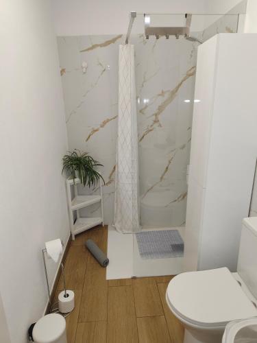 a bathroom with a shower and a toilet at Piedras del Teide in Guía de Isora