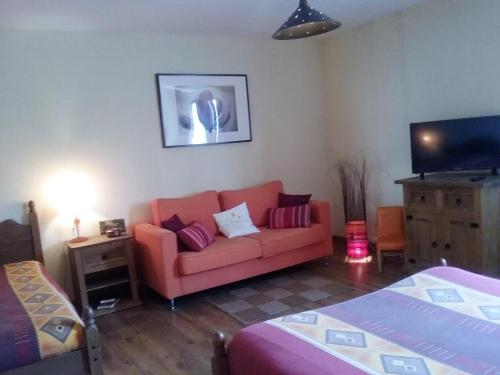 a living room with a couch and a tv at Les Chambres de la Nied in Condé-Northen