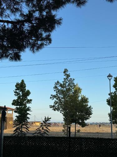 a group of trees in a field with a street light at A3 Apartments in Velipojë