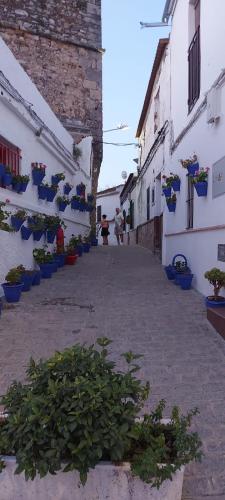 an alley with potted plants on the side of buildings at Casa rural Ocaña in La Puebla de los Infantes