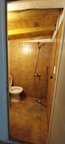 a bathroom with a toilet and a shower in it at BackPakersBasic in Tigre