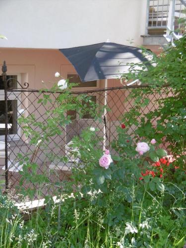 a fence with an umbrella in a garden at Apartment Hermine in Görlitz