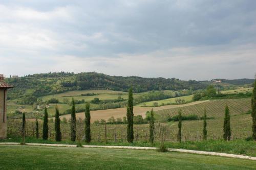 a view of a vineyard through a fence at Tenuta Il Tresto in Poggibonsi