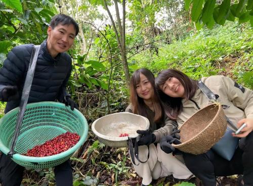 Επισκέπτες που μένουν στο Midori Coffee Farm