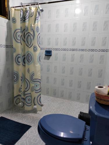 a bathroom with a blue toilet and a shower at Hospedaje San Francisco.6 personas in Zacatlán