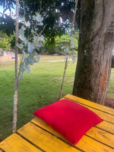 a red pillow sitting on a wooden bench next to a tree at Dreamvilles Ecovillage Las Galeras in Las Galeras