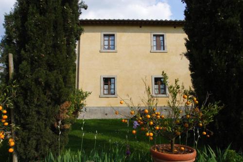 an orange tree in front of a house at Tenuta Il Tresto in Poggibonsi