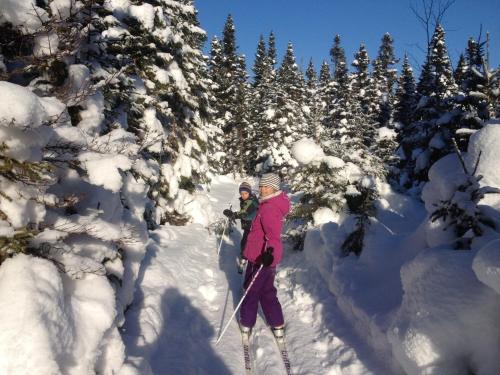 two people on skis in the snow next to trees at Chalets du bout du monde in Gaspé
