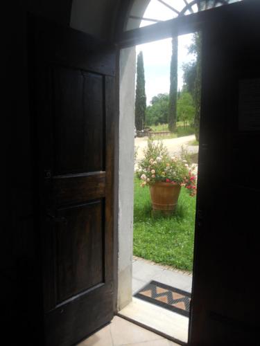 an open door to a yard with a pot of flowers at Tenuta Il Tresto in Poggibonsi
