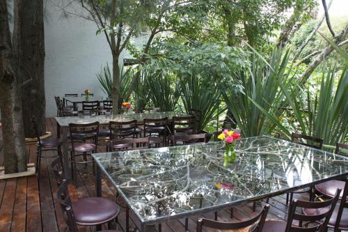 Jardin de l'établissement Casa Tepoztlán