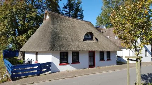 Holiday Homes Buchholz photo 1