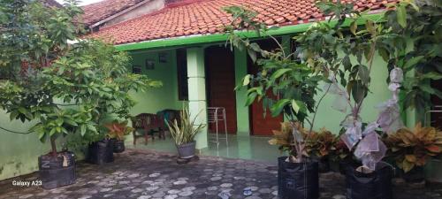a house with a bunch of trees in front of it at Omah 365 Homestay in Sentool