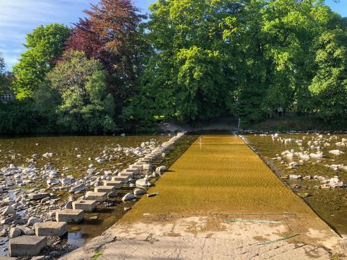 a group of birds on a walkway in the water at The Croft in Stanhope