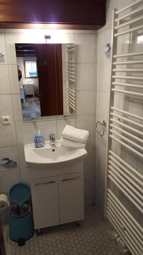 a bathroom with a sink and a mirror at Holiday Homes Buchholz in Büsum