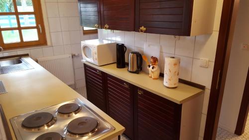 a kitchen with a stove and a microwave on a counter at Holiday Homes Buchholz in Büsum