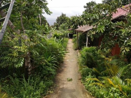 a dirt path through a garden with trees and plants at Maloop Camping in Koh Rong Island