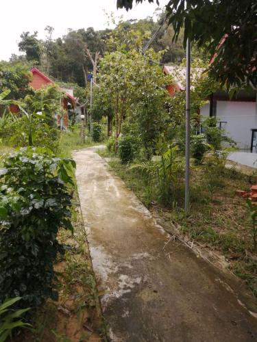 a dirt road in a yard with trees at Maloop Camping in Koh Rong Island