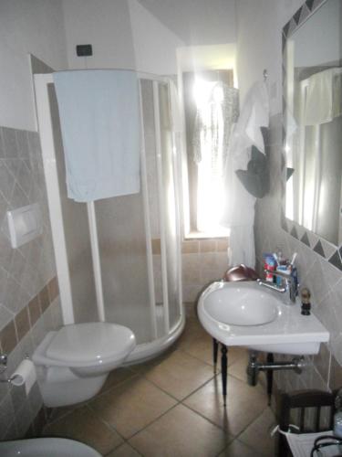 a bathroom with a shower and a toilet and a sink at Tenuta Il Tresto in Poggibonsi