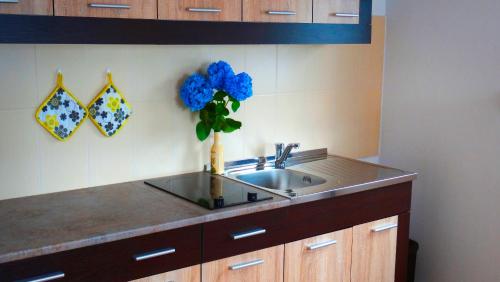 Φωτογραφία από το άλμπουμ του Blue Bay Apartments σε Krasici