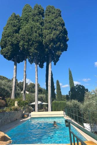 a person in a swimming pool with trees in the background at Mas des quatre cyprès in Spéracèdes