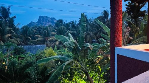 Un paisaje natural cerca de la habitación en casa particular