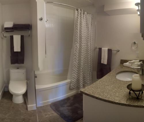 a bathroom with a toilet and a shower and a sink at Cowichan Calling in Lake Cowichan