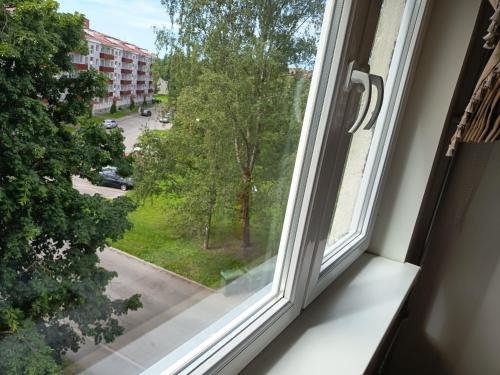 Κήπος έξω από το SPIRITUAL HOMESTaY