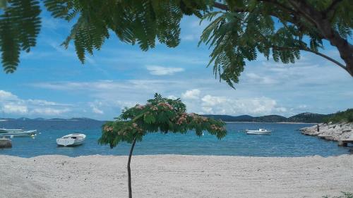 Apartment House Perkov