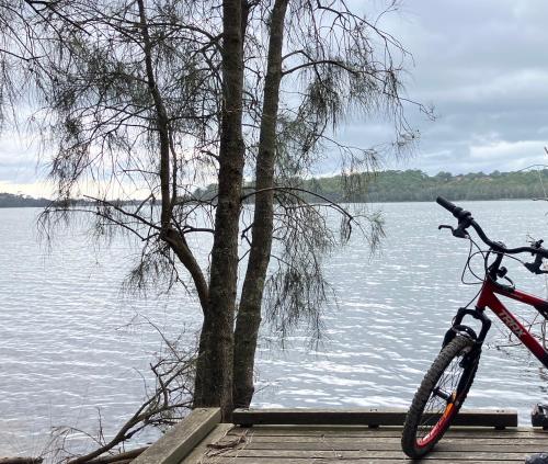 a bike parked next to a tree next to a lake at Coastal Retreat- Beach, Lagoon & Cafes Just Steps from Your Door! in Narrabeen
