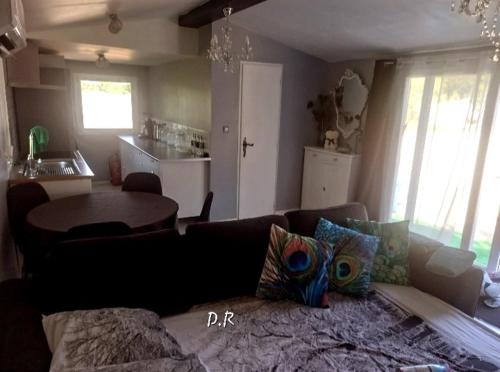 un salon avec un canapé et une table dans l'établissement Mobile Home de Charme 4 Personnes Sans Wifi, à Lançon-Provence