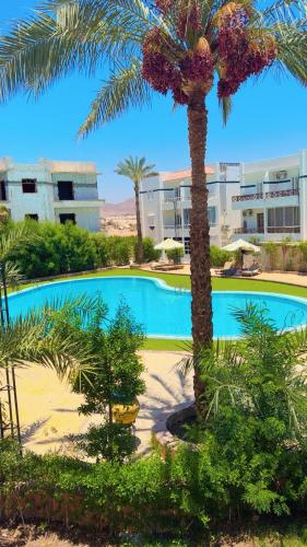 Luxury apartment perfect location pool view