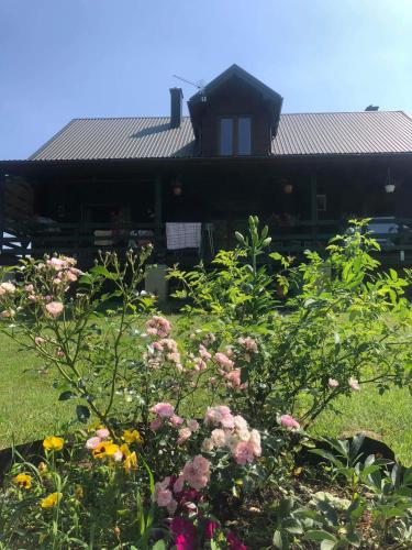 a garden with flowers in front of a house at Agroturystyka u Basi i Waldka in Zelwa