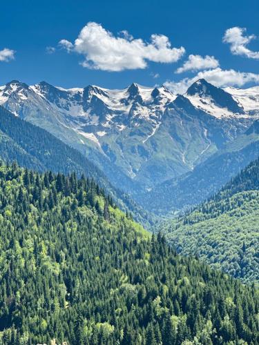 a view of a mountain range with trees and snow at Tariba Guesthouse & Camping in Mestia