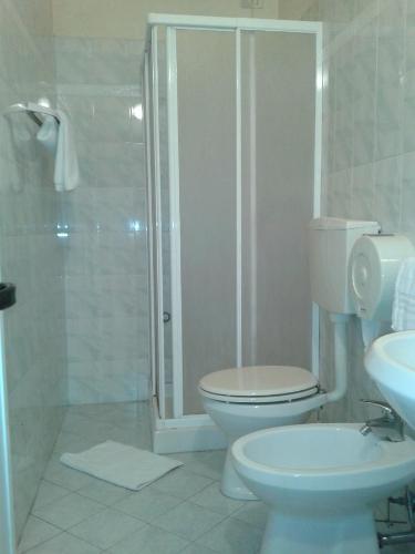 a bathroom with a shower and a toilet and a sink at Hotel Tarabaralla in Borgo a Buggiano