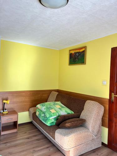 a living room with a couch and a table at Gospodarstwo Agroturystyczne Na Górce pokój 8 in Myczkowce
