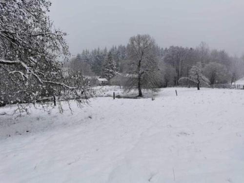 Test Property Beautiful holiday home near Vielsalm with rural view v zimě