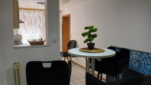 a room with a table with a potted plant on it at White Sand Haven Guest House in Ebhausen