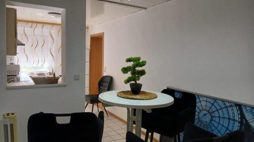 a table with a potted plant on it in a room at White Sand Haven Guest House in Ebhausen