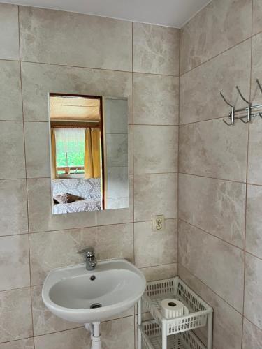 a bathroom with a sink and a mirror at Gospodarstwo Agroturystyczne na Górce in Myczkowce
