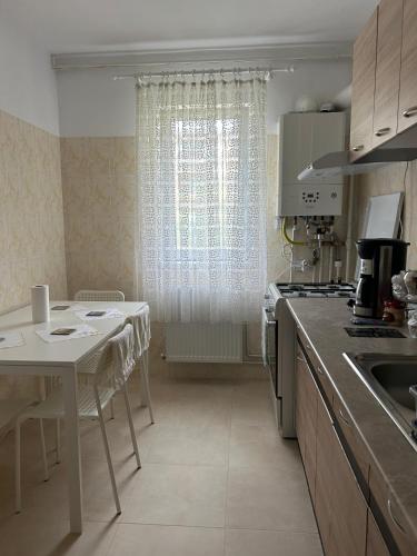 a kitchen with a table and a sink and a table and a window at City Apartment in Târgu Ocna