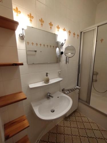 a bathroom with a sink and a mirror and a shower at Ferienwohnung in der Kunst und Kultur Villa Bad Steben in Bad Steben